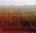 /album/poskozena-krajina/a07-jpg1/